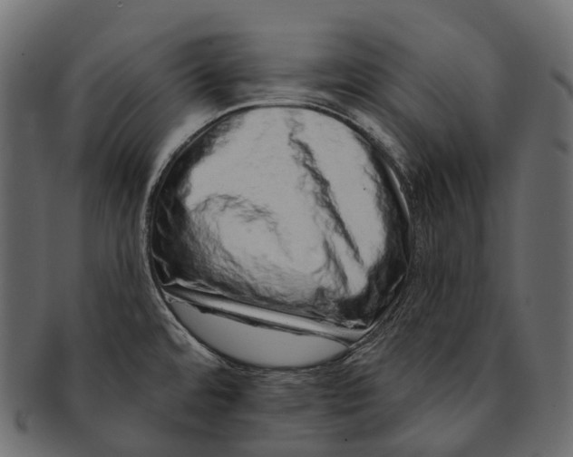 X0000091561480200709071116