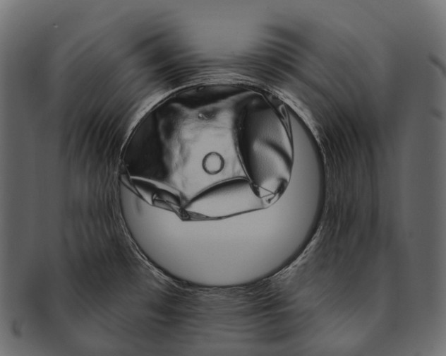 X0000091561481200709071116