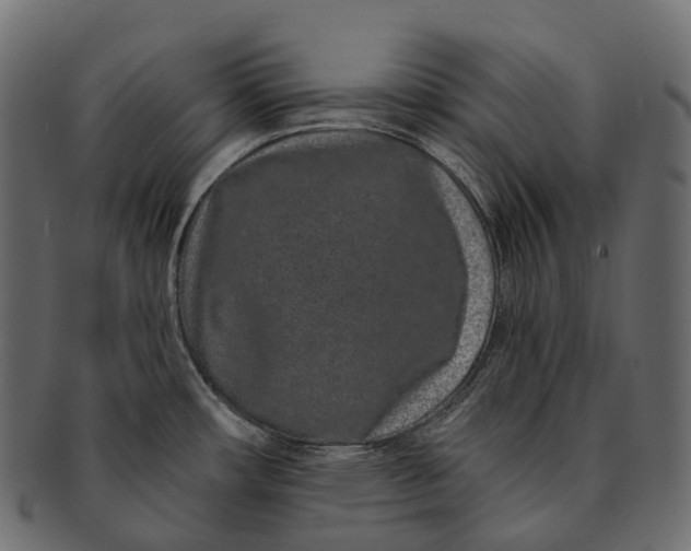 X0000091561482200709071116