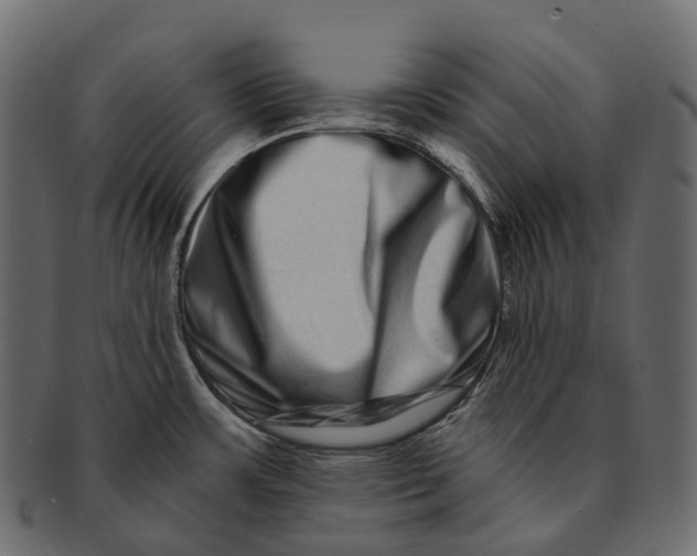 X0000091561483200709071116