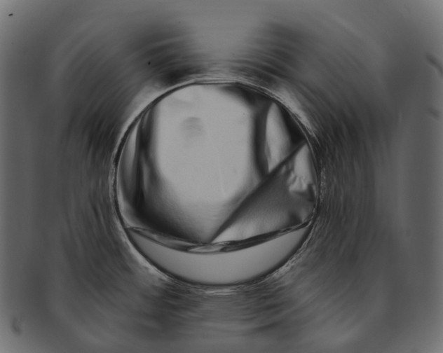 X0000091561484200709071116