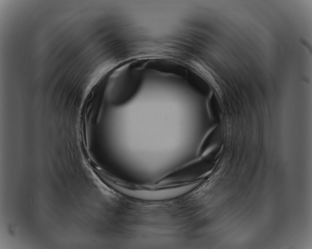 X0000091561485200709071116