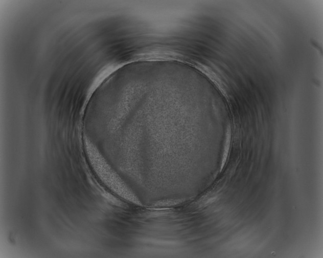 X0000091561486200709071116