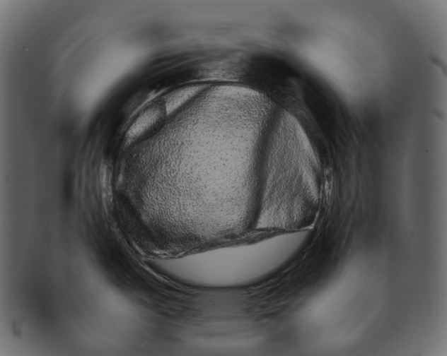 X0000091561487200709071116