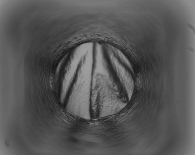 X0000091561490200709071115