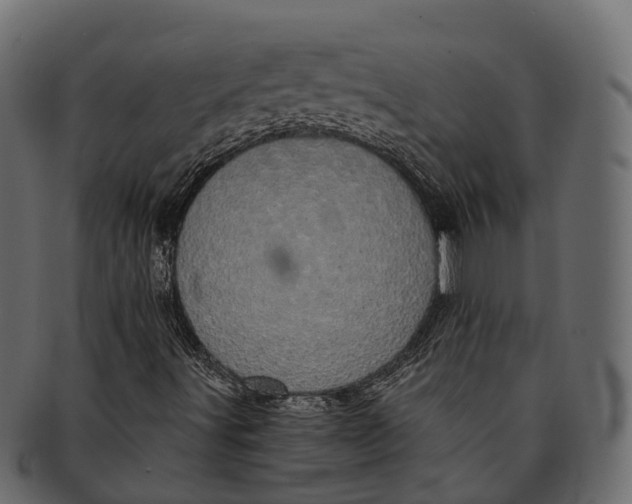 X0000091561491200709071115