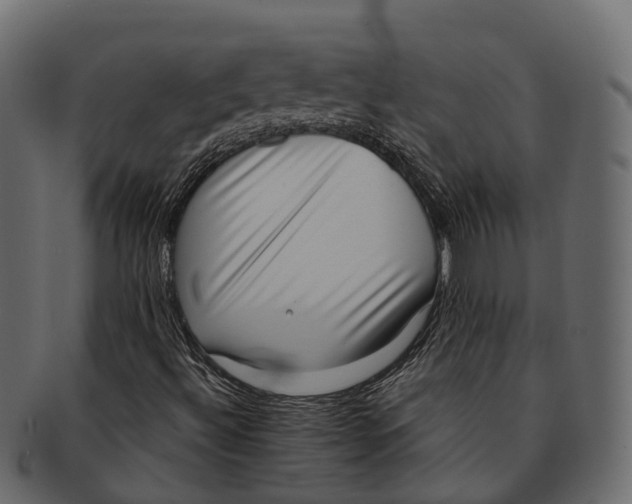 X0000091561492200709071115