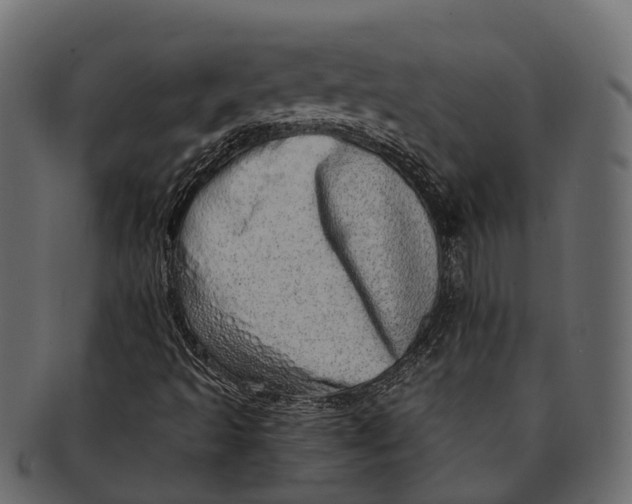 X0000091561493200709071115