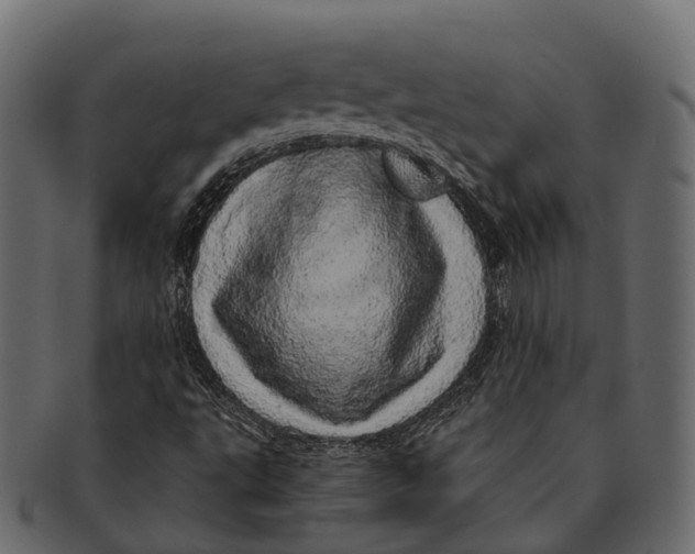 X0000091561495200709071115