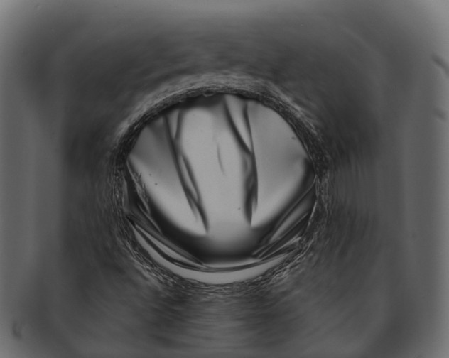 X0000091561496200709071115