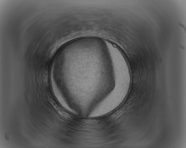 X0000091561499200709071115