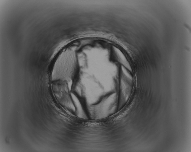 X0000091561501200709071115