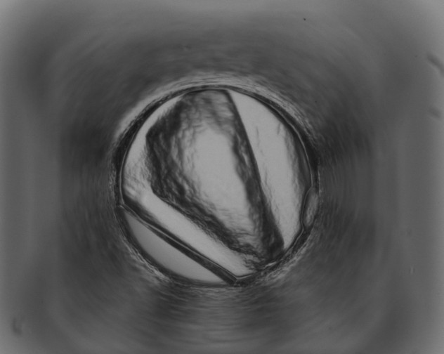 X0000091561502200709071115