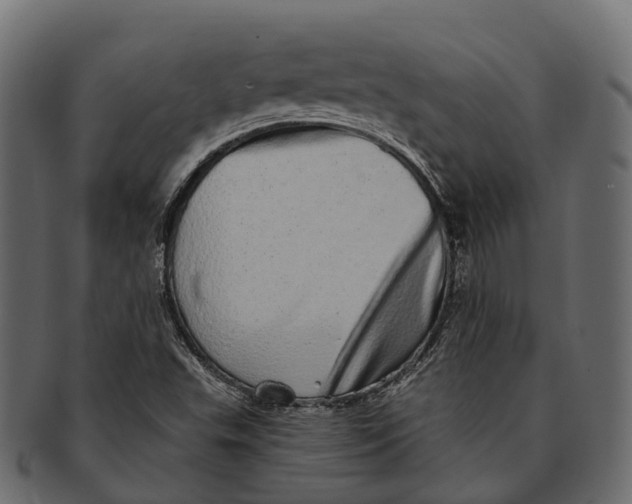 X0000091561503200709071115