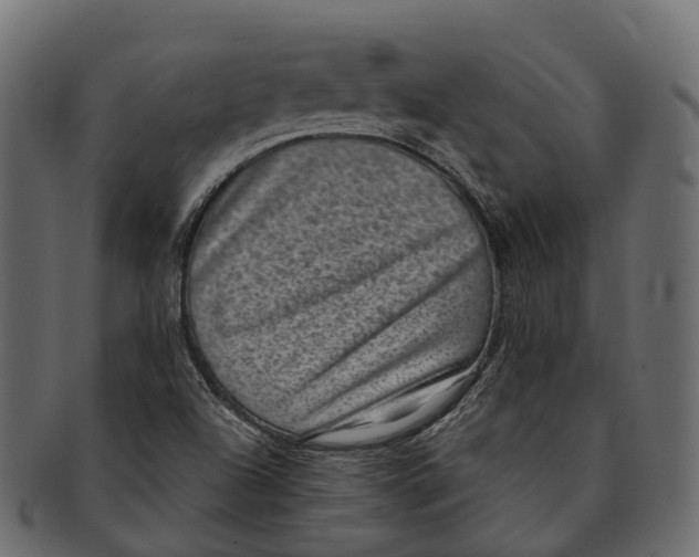 X0000091561504200709071115