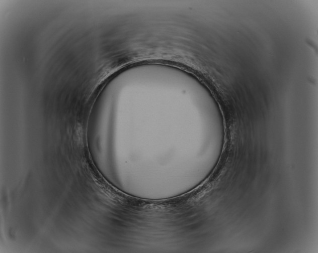 X0000091561505200709071115