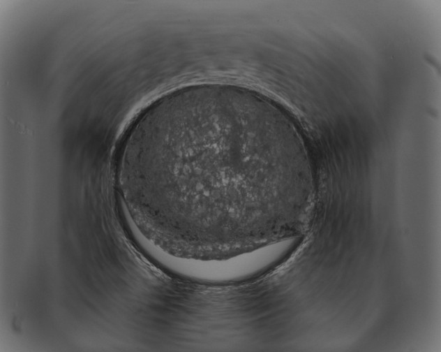 X0000091561506200709071115