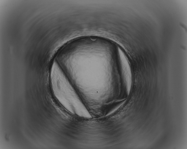 X0000091561507200709071115