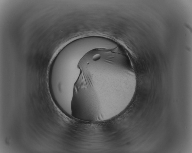 X0000091561508200709071115