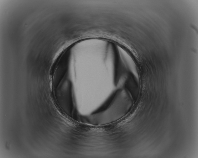 X0000091561509200709071115