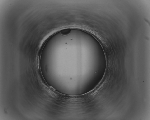 X0000091561510200709071115