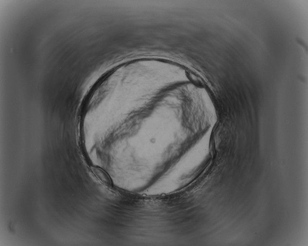 X0000091561511200709071115