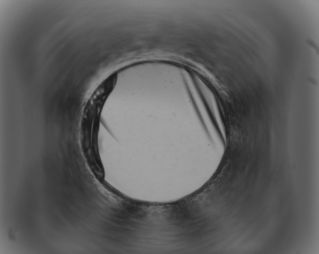 X0000091561512200709071115