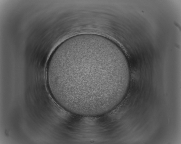 X0000091561514200709071115