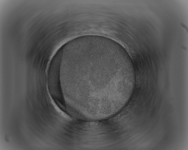 X0000091561515200709071115