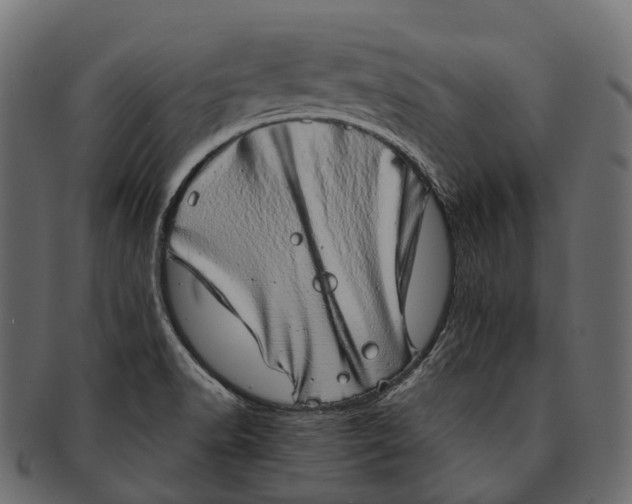 X0000091561518200709071115