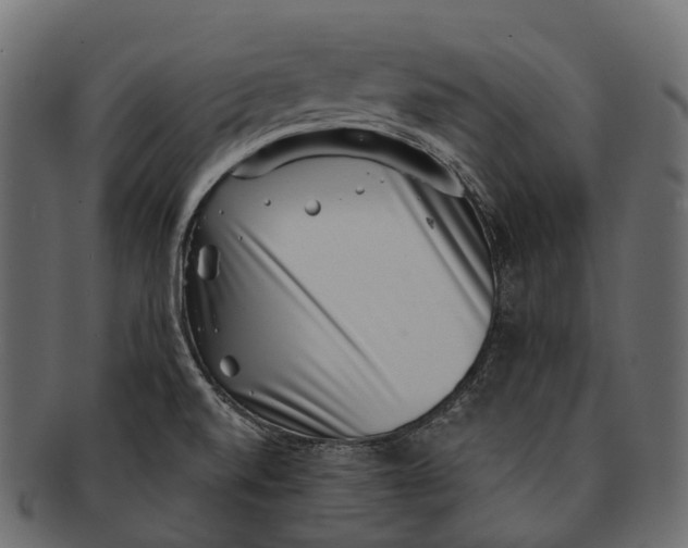 X0000091561520200709071115