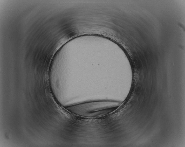 X0000091561521200709071115