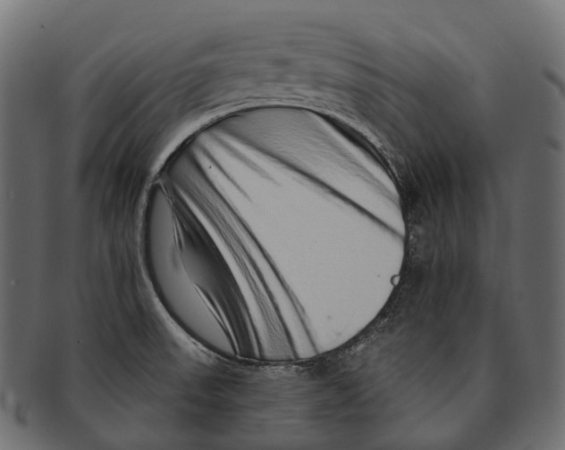 X0000091561523200709071115