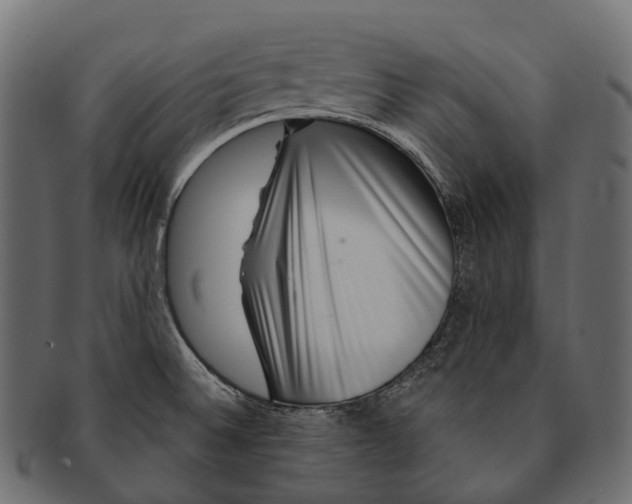 X0000091561524200709071115