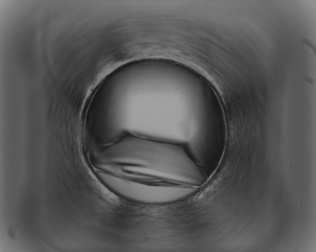 X0000091561525200709071115