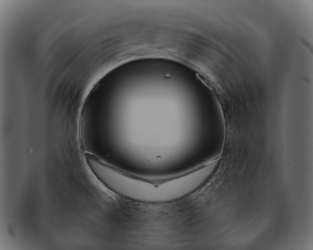 X0000091561528200709071115