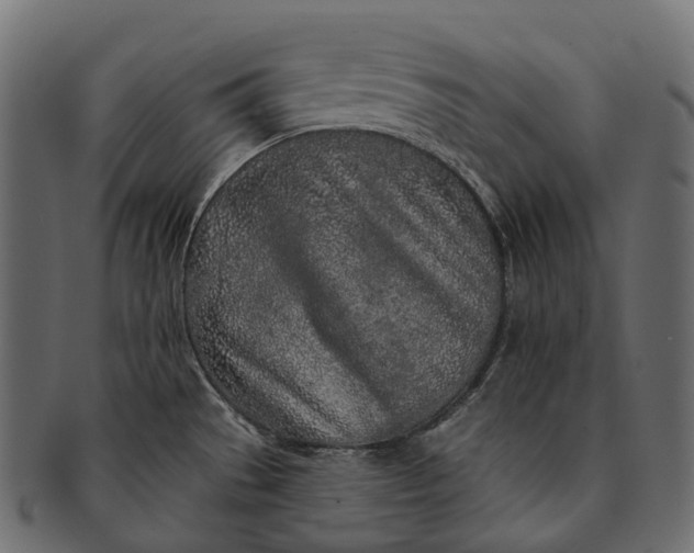 X0000091561529200709071115