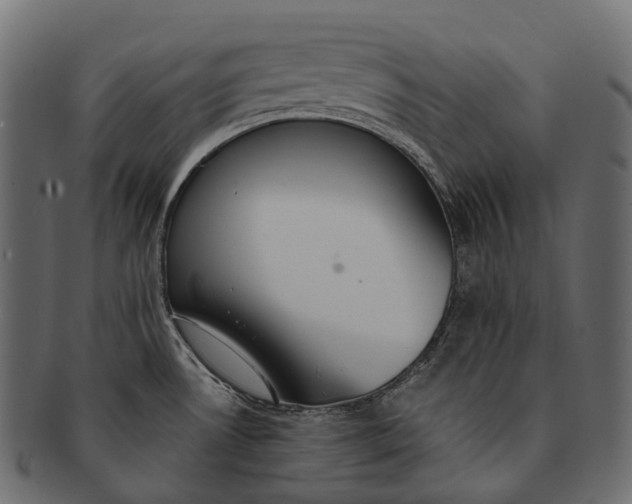 X0000091561530200709071115