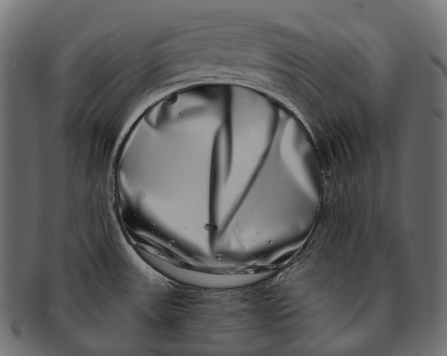 X0000091561531200709071116