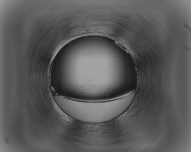 X0000091561532200709071116