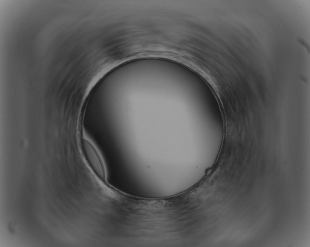 X0000091561533200709071116