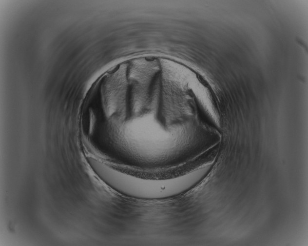 X0000091561534200709071116