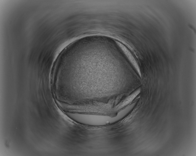 X0000091561535200709071116