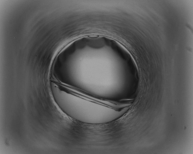 X0000091561536200709071116