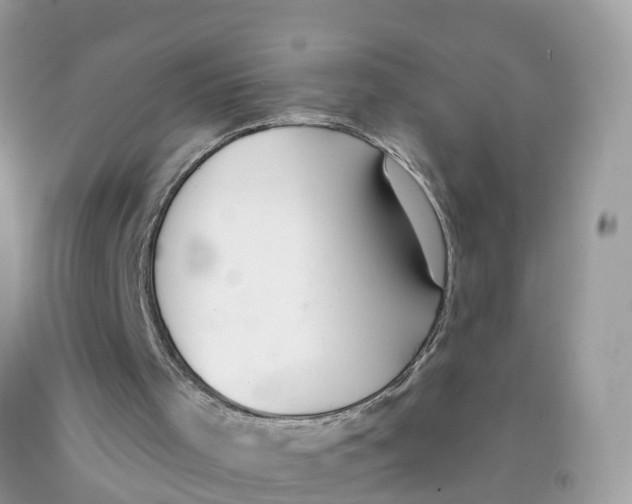 X0000091560001200709141546