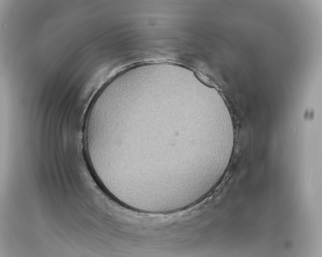 X0000091560002200709141546