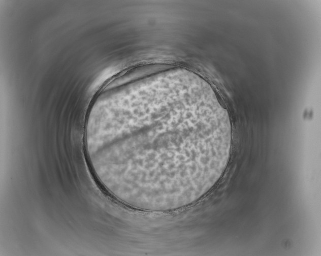 X0000091560003200709141545