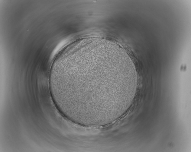 X0000091560004200709141545