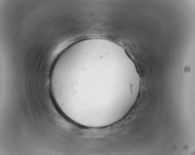 X0000091560005200709141545