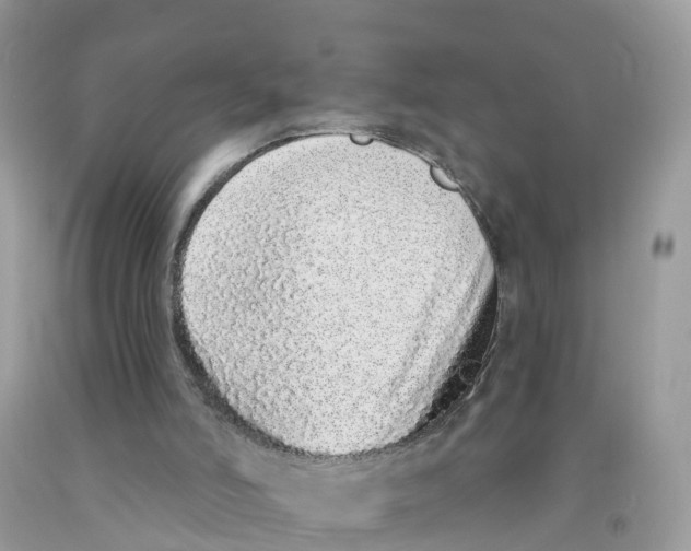 X0000091560006200709141545